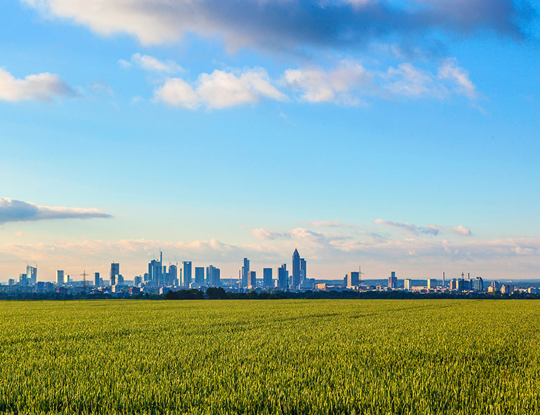 Internat für Frankfurt